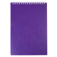 ������� �5 80 �. ��. �� ������ CANVAS ���������� ����������� �������