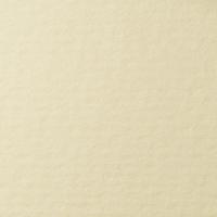 LANA ������ ��� �������, 160�, 21�29,7, ��������