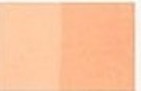 SKETCHMARKER (2 ����: ������ � ������, 389 ��������)(���� �������: Flesh Colour (�������� ����))