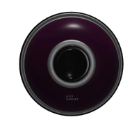A319 Garnet - �������� 