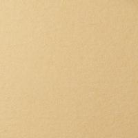 LANA ������ ��� ������� �Lana Colours�, 160 �/�?, 21�29,7 ��, 25 �, ��������