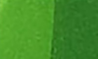 SKETCHMARKER (2 ����:������ � ������,),���� �������:Palm Green (������� ������), ���: SM-G061