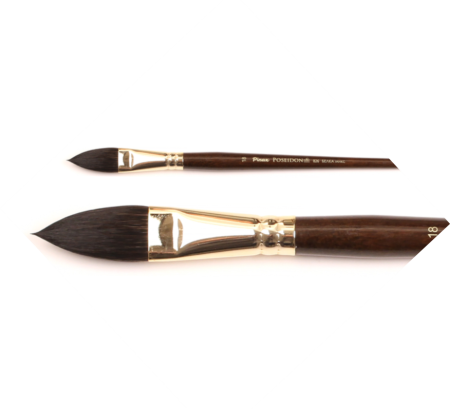 ����� Pinax POSEIDON ����� ���� �������������� ���� N 18