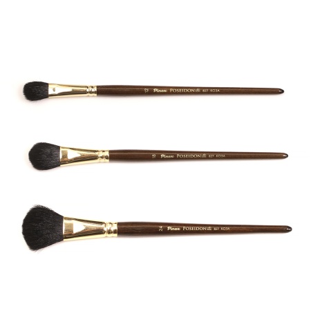 ����� Pinax POSEIDON ���� ������ �������� N 24