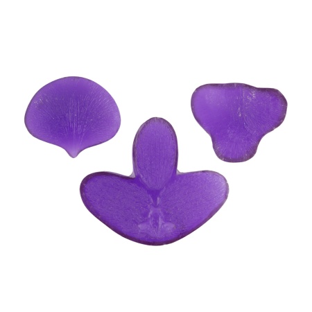 ���� �����������   FIO-M/02  04 