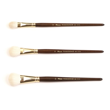 ����� Pinax POSEIDON ���� ����� �������� N 24